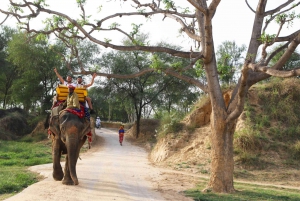 Jodhpur: Guided Highlights Half-Day City Tour