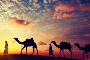 Jodhpur & Jaisalmer: Multi-Day Tour with Music Workshops