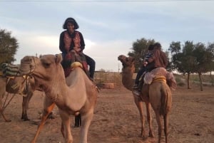 Jodhpur: Jeepsafari, kamelridning, buffémiddag och folkdans
