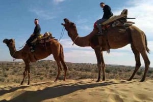 Jodhpur: Jeepsafari, kamelridning, buffémiddag och folkdans