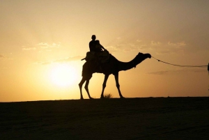 Jodhpur: jeepsafari, kamelenrit, buffetdiner en volksdans