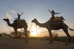 Jodhpur: jeepsafari, kamelenrit, buffetdiner en volksdans