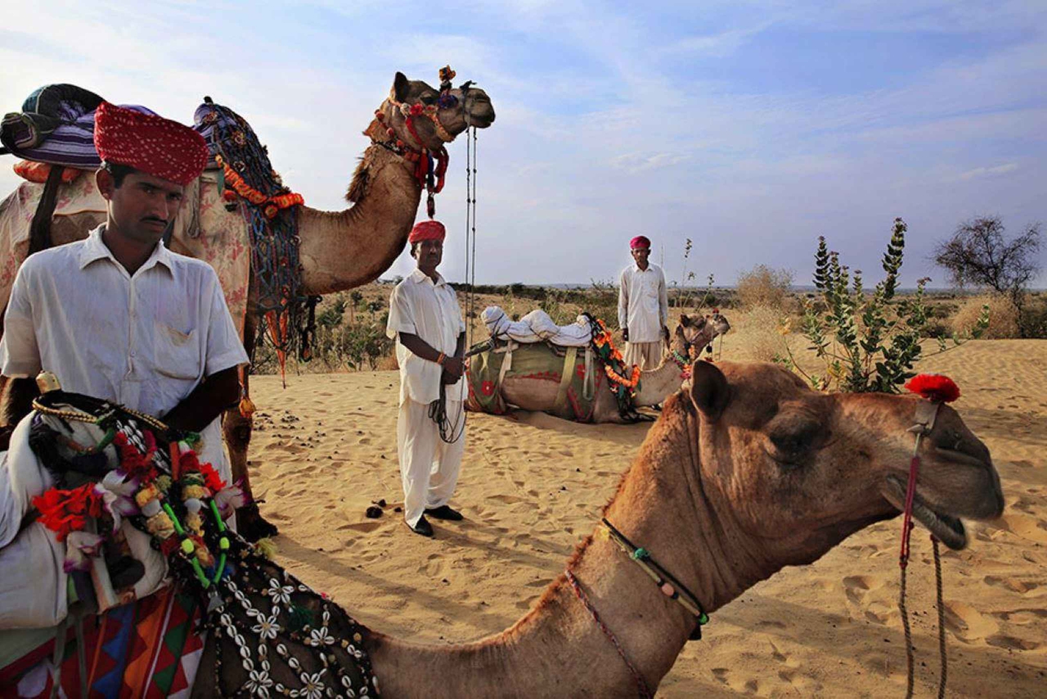 Jodhpur: Luksuriøs ørkenekspedisjon med kamelridning og festmåltid