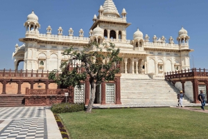 Jodhpur: tour privato del Forte di Mehrangarh e della Città Blu