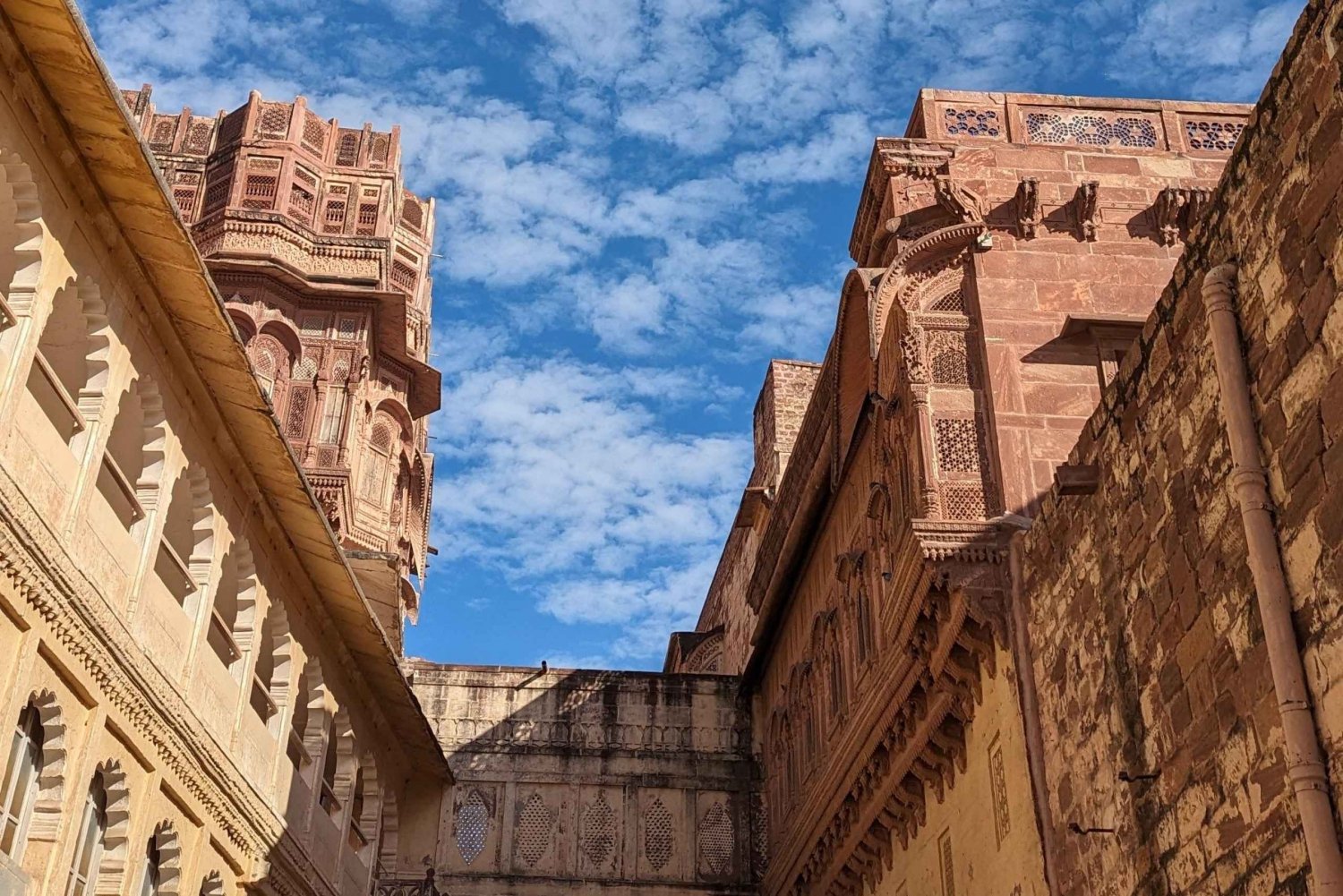 Jodhpur : Visite à pied du fort Mehrangarh et de la ville bleue