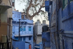 Jodhpur: Forte Mehrangarh e tour della città blu a piedi