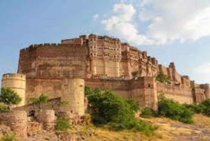 Jodhpur: Mehrangarh Fort, Jaswant Thada, and Umaid Bhawan