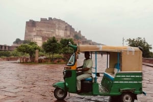 Jodhpur: tour del forte Mehrangarh, Jaswant Thada e Umaid Bhawan