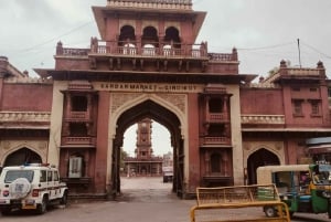 Jodhpur: tour del forte Mehrangarh, Jaswant Thada e Umaid Bhawan
