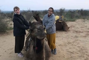 Jodhpur ökensafari med övernattning Kameltur i Jodhpur