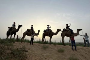 Jodhpur ökensafari med övernattning Kameltur i Jodhpur