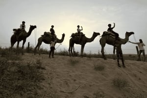 Jodhpur ökensafari med övernattning Kameltur i Jodhpur