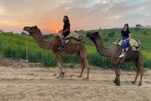 Jodhpur: Overnight Stay in Desert with Camel Safari