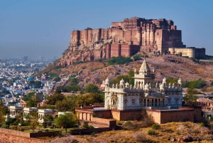 Jodhpur: Privat dagstur till Mehrangarh-fortet och den blå staden