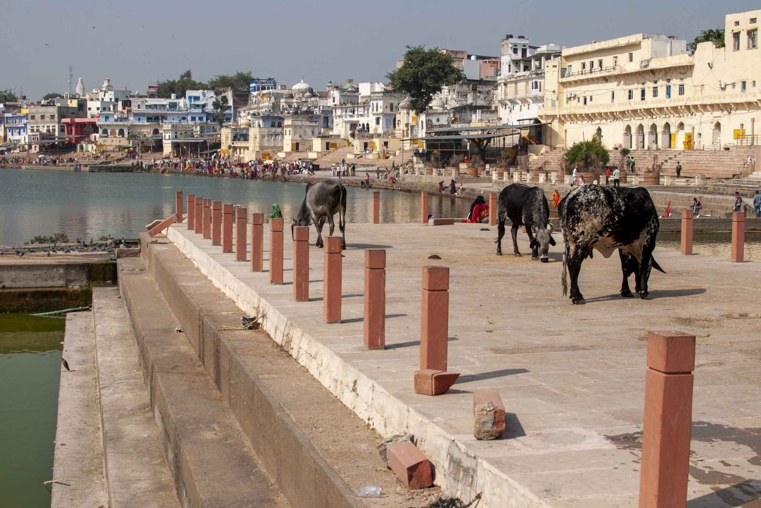 Jodhpur to Jaipur with Pushkar Pilgrimage Visit