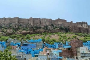 Jodhpur Walking Street Food Tour With Local Guide