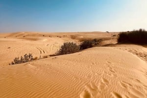 Safari nocturno por el desierto - Aventura en el desierto de Thar -