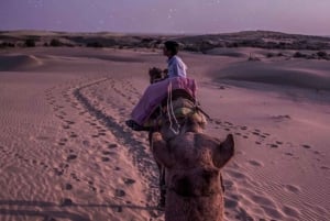 Safari nocturno por el desierto - Aventura en el desierto de Thar -