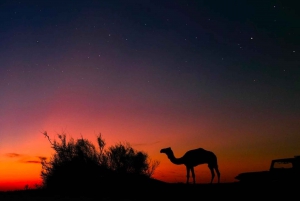 Safari nocturno por el desierto - Aventura en el desierto de Thar -