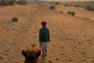 Safari nocturno por el desierto - Aventura en el desierto de Thar -