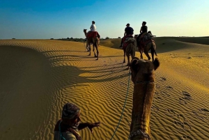 Safari nocturno por el desierto - Aventura en el desierto de Thar -