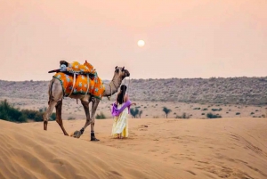 Safari nocturno por el desierto - Aventura en el desierto de Thar -