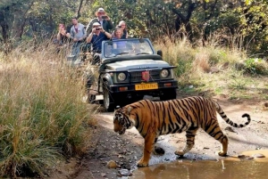 Jungle safari and visit to 08 UNESCO world heritage sites