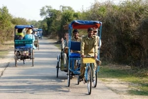 Park Narodowy Keoladeo - bilety i wycieczka z przewodnikiem