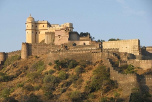 Kumbhalgarh and Ranakpur: Private Day Trip from Udaipur