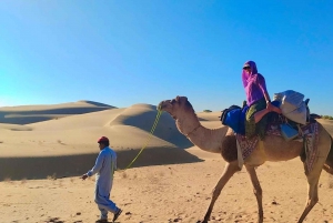 Little Prince Kamelsafari Ikke-turistisk og over natten