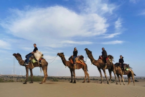 Little Prince Kamelsafari Ikke-turistisk og over natten