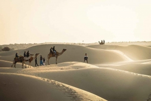 Little Prince Kamelsafari Ikke-turistisk og over natten