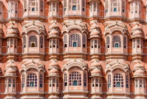 Local Jaipur city sightseeing with options