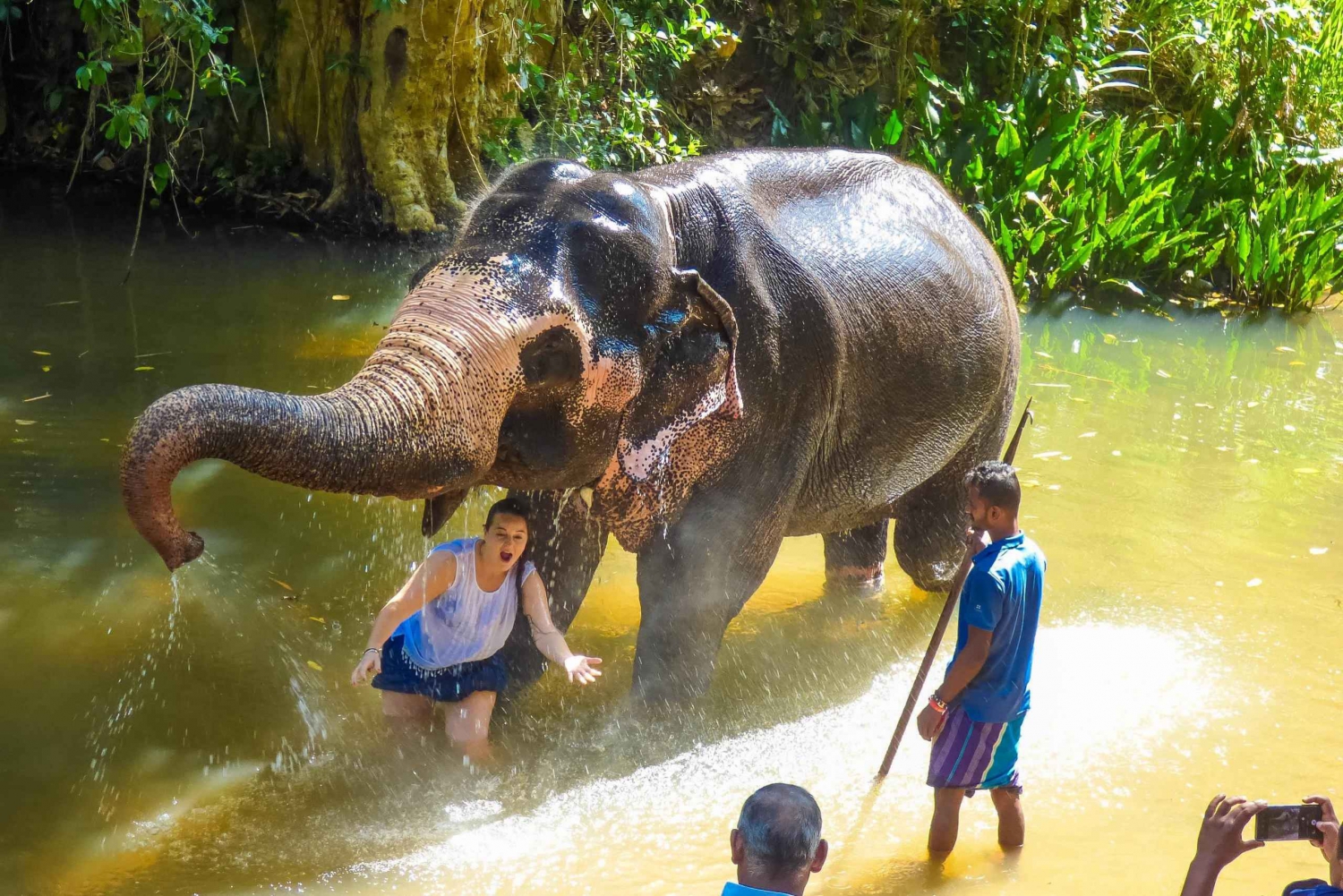 Luang prabang Elepphant keeper bathe option Kuangsi tour