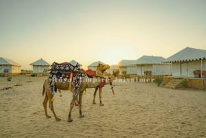 Camping de luxe au milieu du désert du Thar.