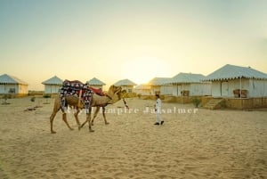 Camping de luxe au milieu du désert du Thar.
