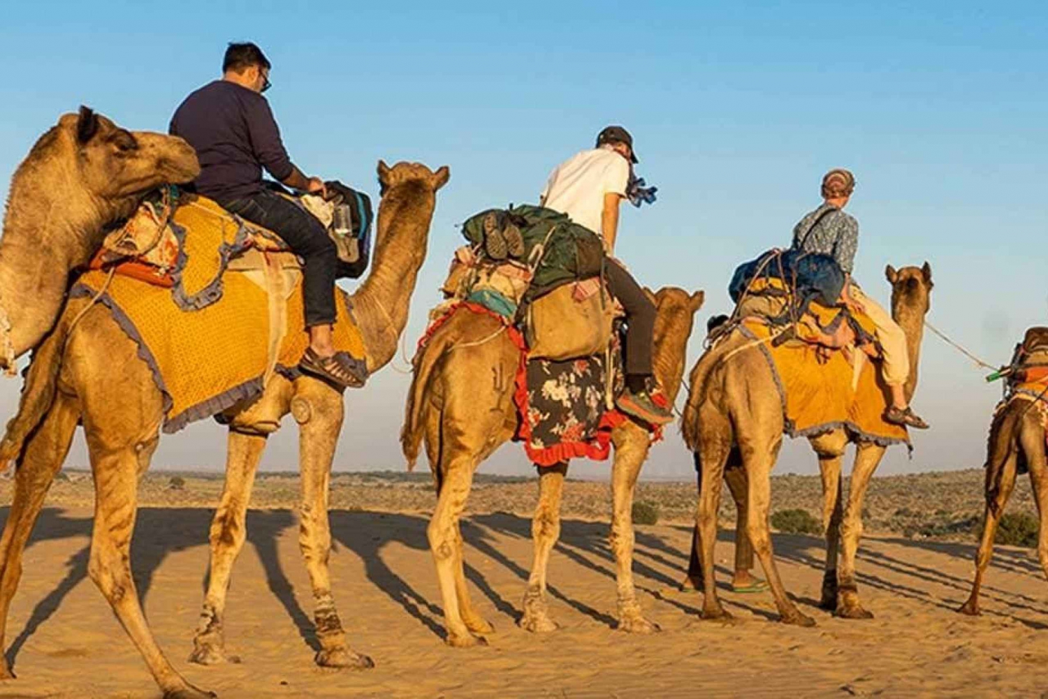 Campeggio di lusso nel deserto di Jaisalmer