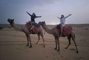 Paimentolainen 2 yötä 3 päivää ei-turistinen kameli- ja aavikkosafari