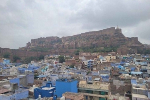Mehrangarh Fort & Blue City by guide med afhentning og afsætning