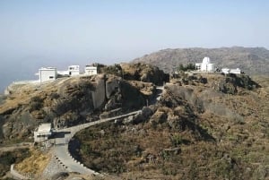 Gamle Delhi: Guidet street madtur med shopping i bil
