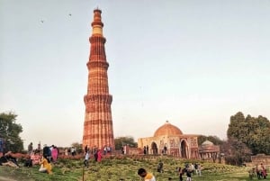 Ruta mogol y maharajá con experiencia de vida salvaje en Sariska