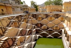 Ruta mogol y maharajá con experiencia de vida salvaje en Sariska