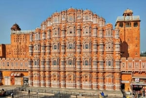 Ruta mogol y maharajá con experiencia de vida salvaje en Sariska