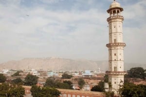 Ruta mogol y maharajá con experiencia de vida salvaje en Sariska