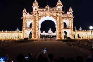 Fra Jaipur: All-inclusive dagsomvisning med tigersafari i Ranthambore