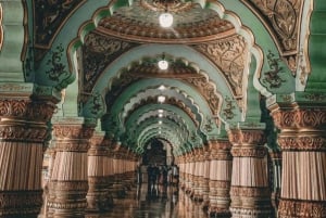 Fra Jaipur: All-inclusive dagsomvisning med tigersafari i Ranthambore