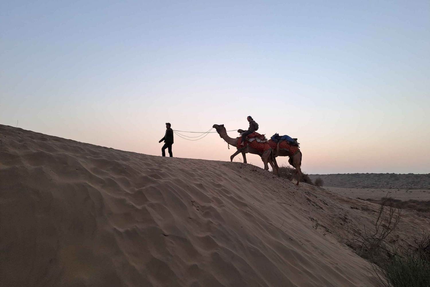 Jeep & kamelenrit, muzikale avond in het luxe kamp in de woestijn