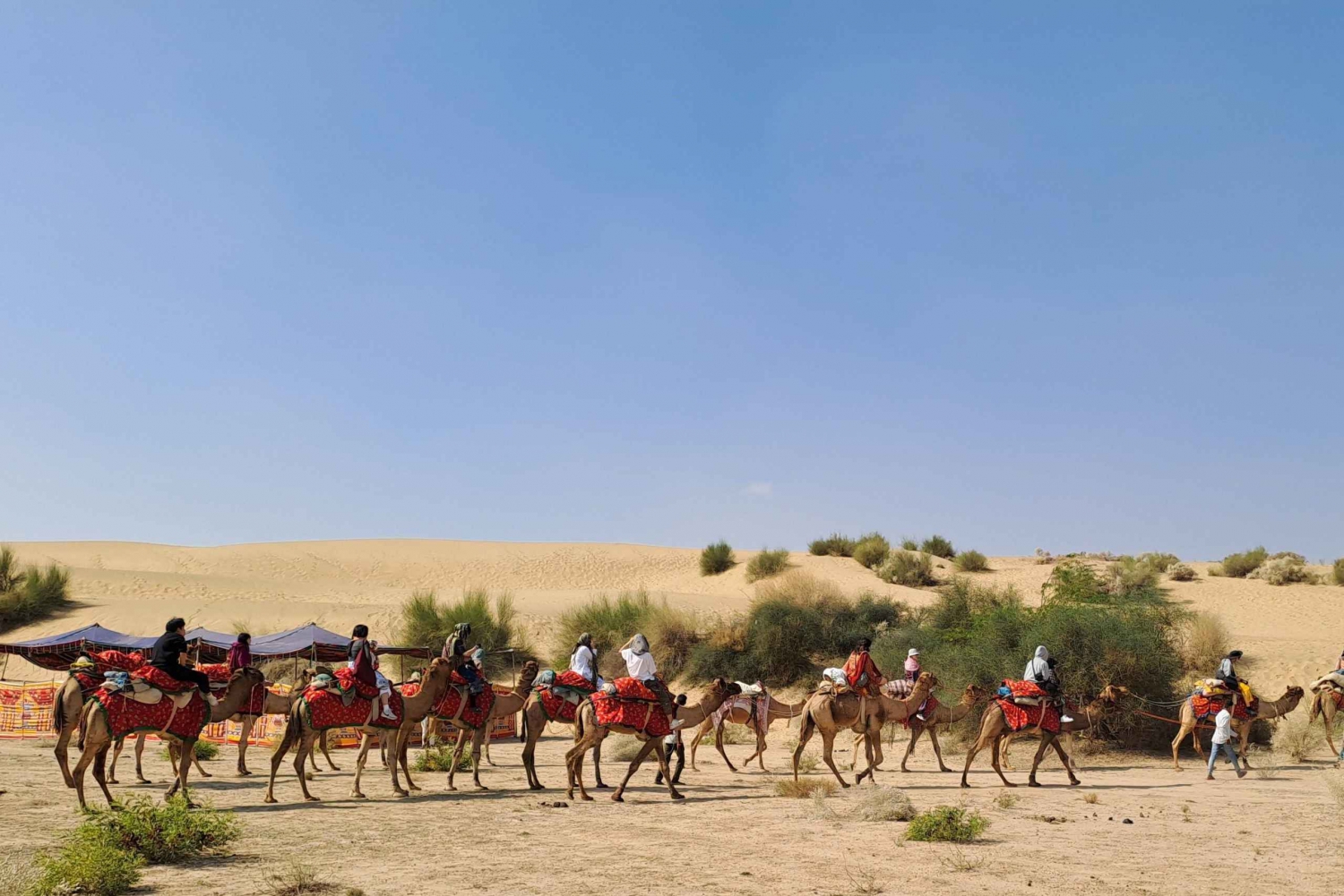 Jeep & kamelenrit, muzikale avond in het luxe kamp in de woestijn