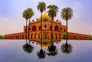 From Delhi: 4-Day Golden Triangle Tour with Tiger Safari