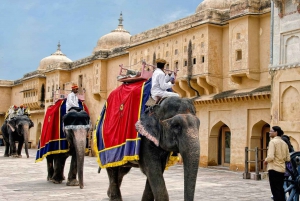 Delhi: Agra, Jaipur, Jodhpur & Pushkar 7-tägige Tour